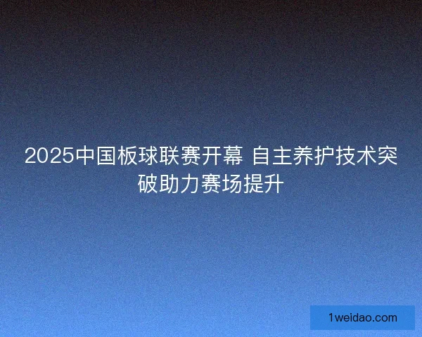 2025中国板球联赛开幕 自主养护技术突破助力赛场提升