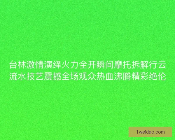 台林激情演绎火力全开瞬间摩托拆解行云流水技艺震撼全场观众热血沸腾精彩绝伦