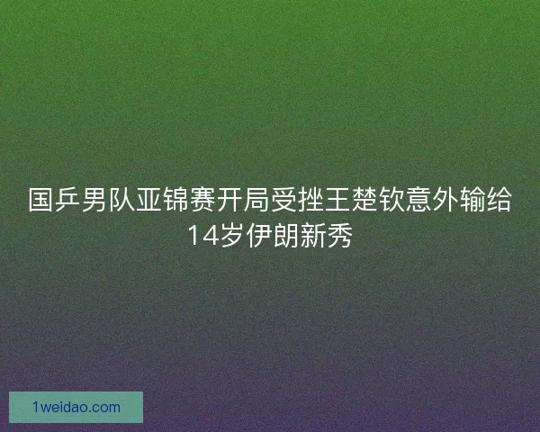 国乒男队亚锦赛开局受挫王楚钦意外输给14岁伊朗新秀 国乒男队亚锦赛开局受挫王楚钦意外输给14岁伊朗新秀